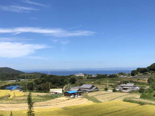 おひるねテスト